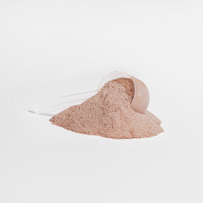 Collagen Peptides + Powder (Chocolate)